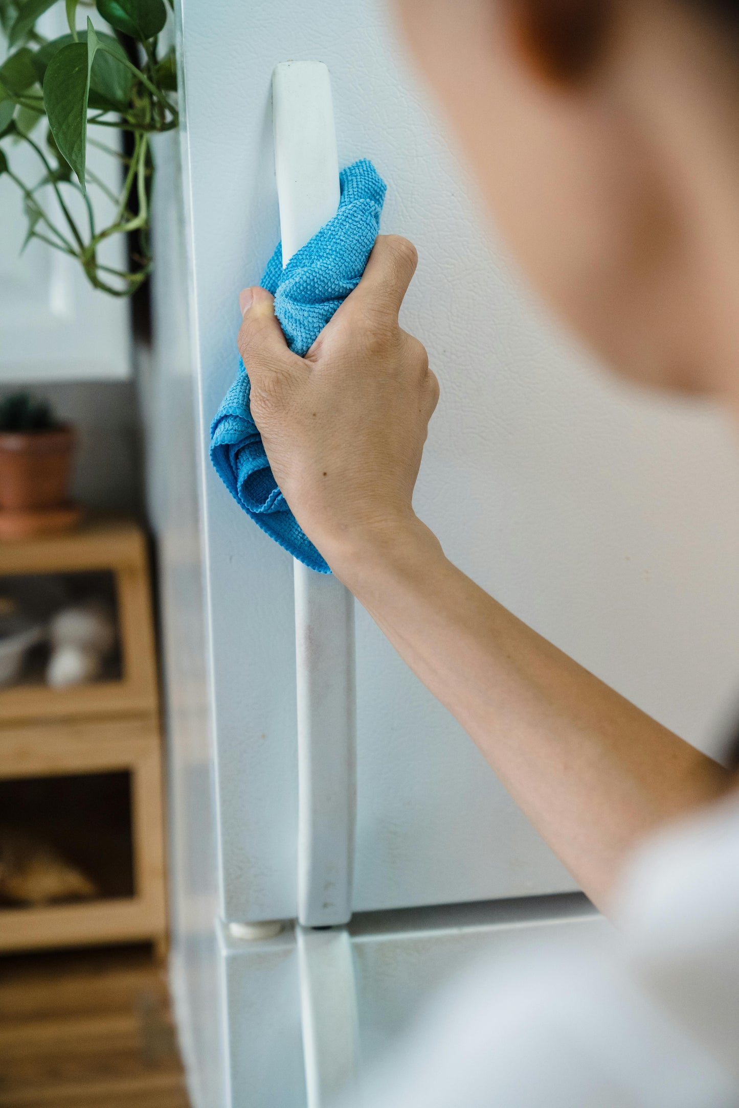 End of Tenancy Cleaning