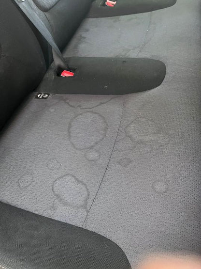 Upholstery Cleaning